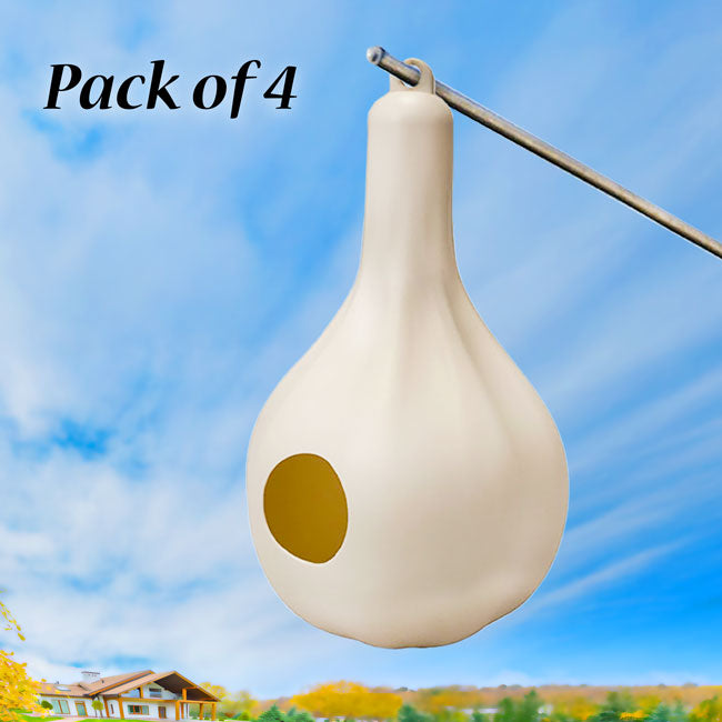 Wild Bird Lover's Single Purple Martin Gourd