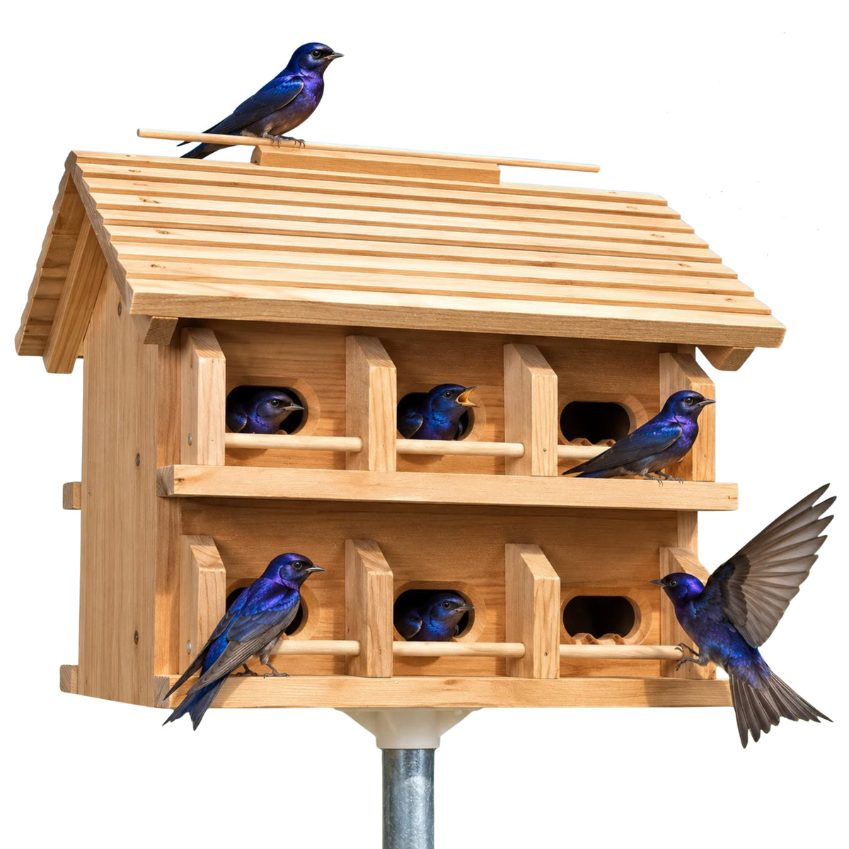 Heath Cedar Purple Martin House, Crescent Entrance Holes