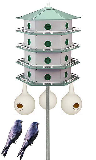 Heath 24-Room Deluxe Purple Martin House & Gourds Kit