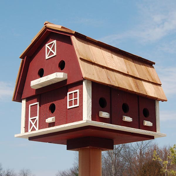 Bird In Hand Lancaster County Barn Martin House, 12 Room