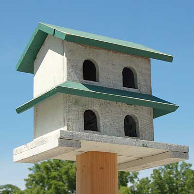 Bird In Hand Hanover Purple Martin House, 4 Rooms