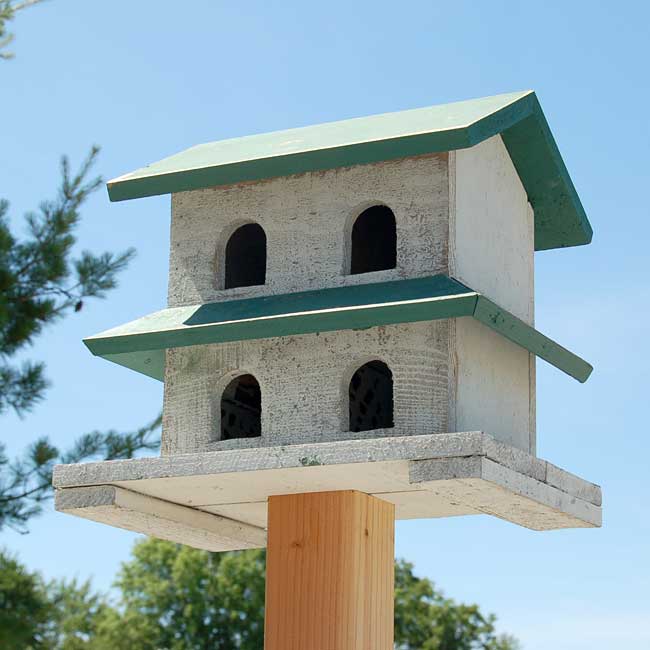 Bird In Hand Hanover Purple Martin House, 4 Rooms