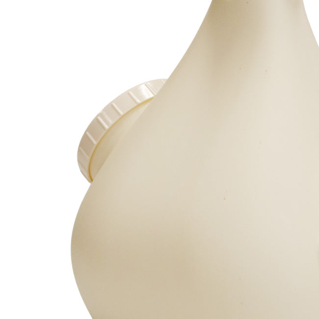Wild Bird Lover's Deluxe Purple Martin Gourd