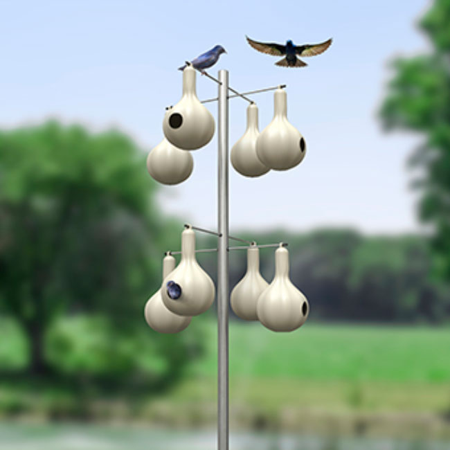 Wild Bird Lover's Single Purple Martin Gourd