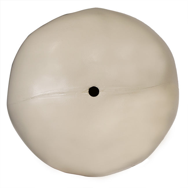 Heath Purple Martin Gourd