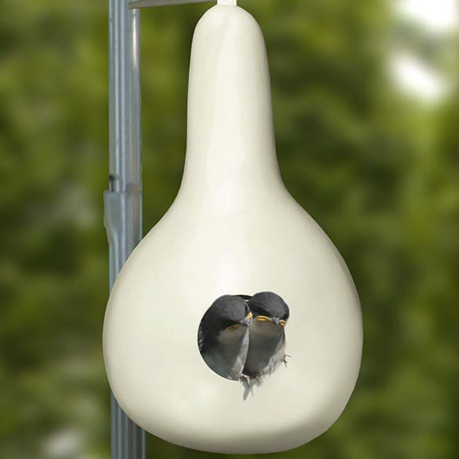 Heath Purple Martin Gourd