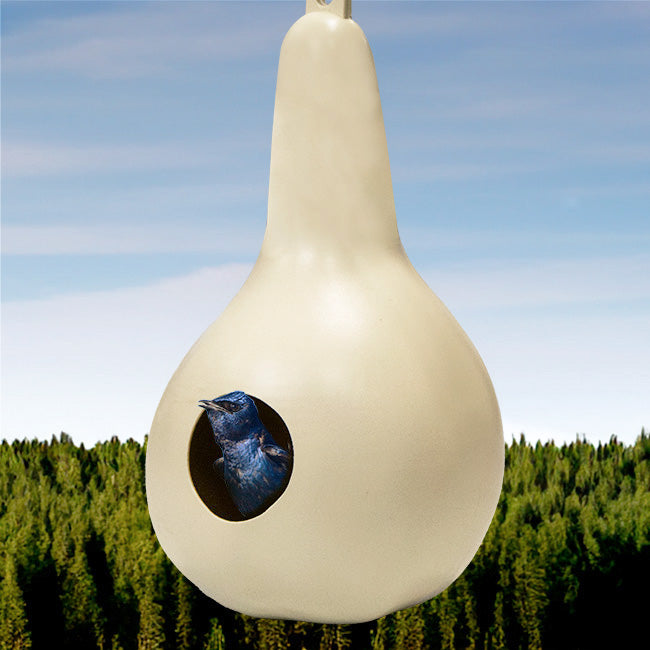 Heath Purple Martin Gourds, Pack of 12