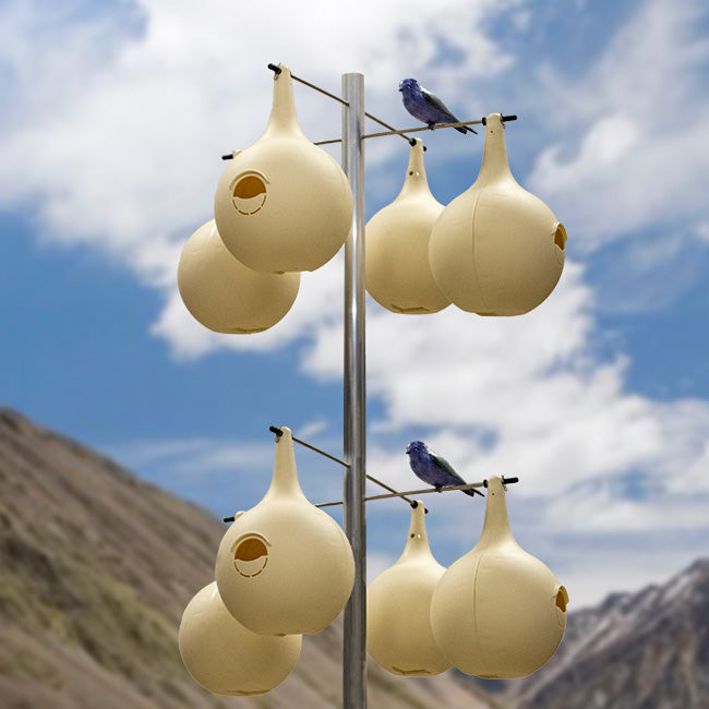 Two-Piece Martin Gourds and Pole, 4 Over 4, by Prime Retreat