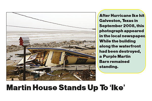 S&K Purple Martin Barn, 16 Room