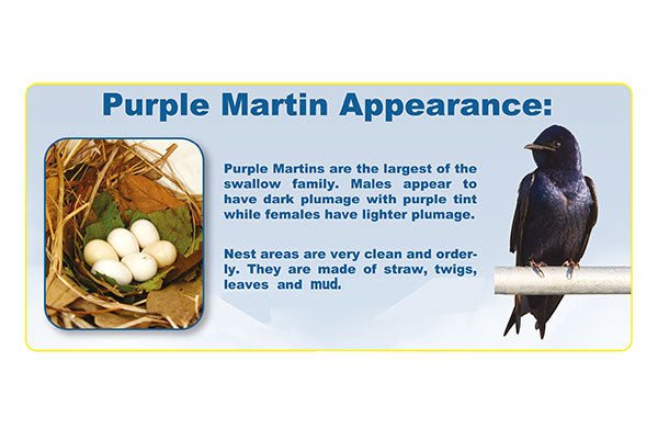 S&K Purple Martin Barn, 16 Room