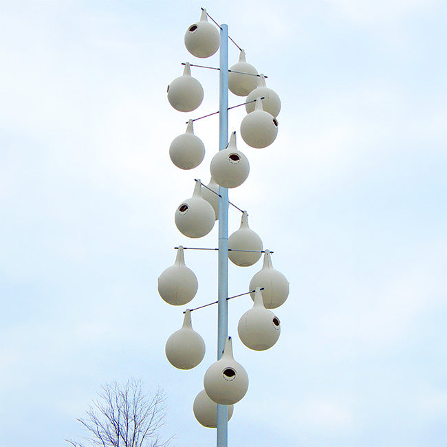 Heath 2-Piece Martin Gourds w/ Heavy-Duty Aluminum Pole Kit