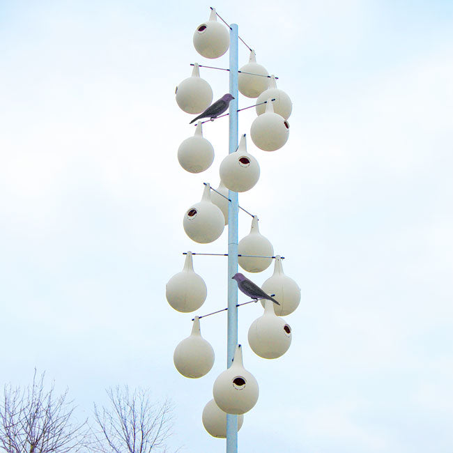 Heath 2-Piece Martin Gourds w/ Heavy-Duty Aluminum Pole Kit