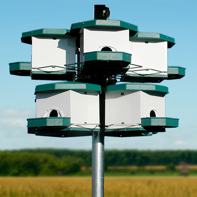 Heritage Farms Quad Pod Purple Martin House Package, 2 Pods