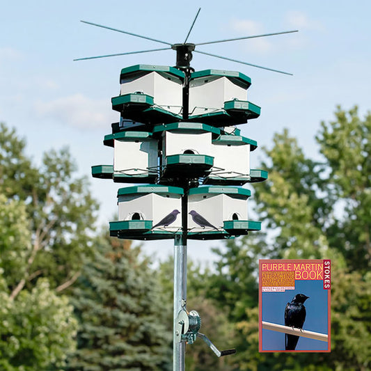 Heritage Farms Quad Pod Purple Martin House Package, 12 Room