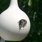 Heath 18-Room Deluxe Purple Martin House & Gourds Kit
