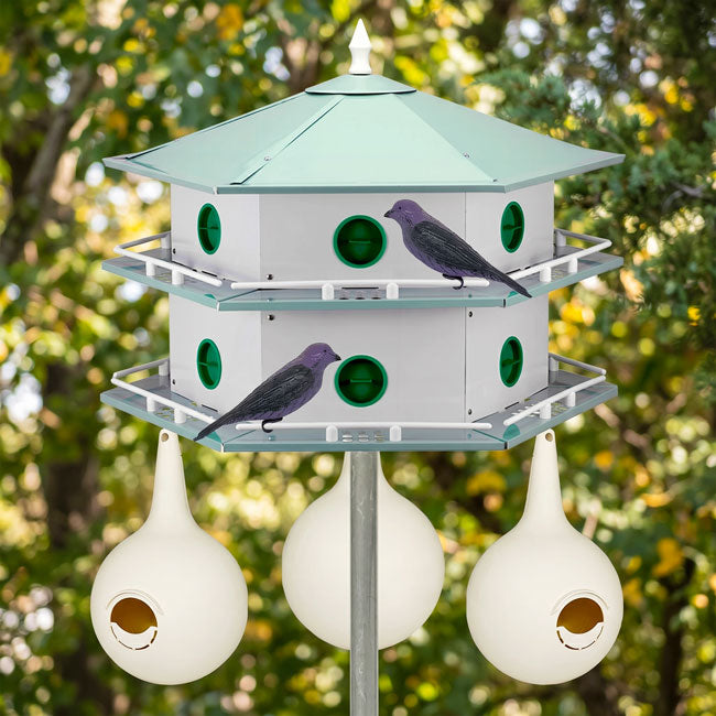Heath 12-Room Deluxe Purple Martin House & Gourds Kit