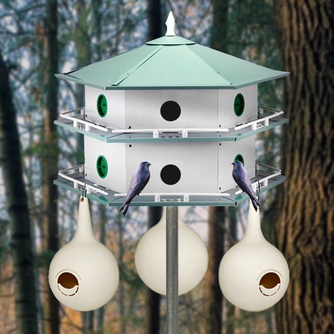 Heath 12-Room Deluxe Purple Martin House & Gourds Kit