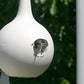 Heath 12-Room Deluxe Purple Martin House, Gourds, & Decoys