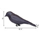 BestNest Classic Purple Martin Gourds and Pole Package