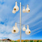 Wild Bird Lover's Purple Martin Gourds and Pole Package