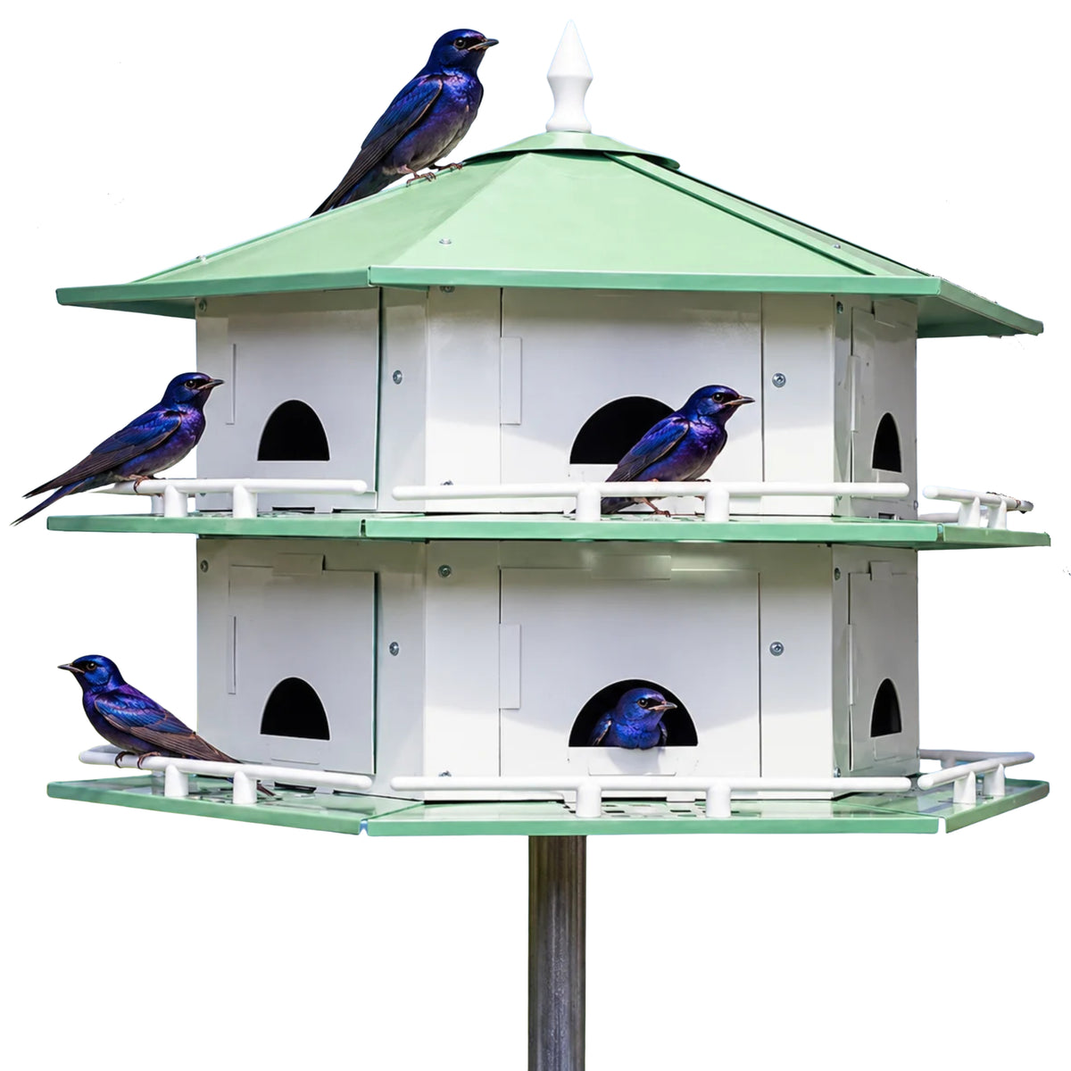 Heath Convertible Purple Martin House, 12 Room