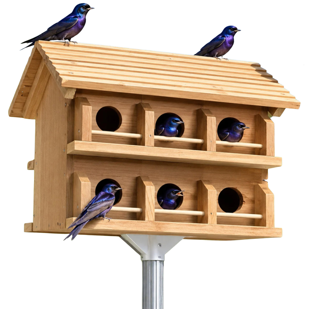 Heath Cedar Purple Martin House, Round Entrance Holes