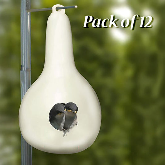 Heath Purple Martin Gourds, Pack of 12