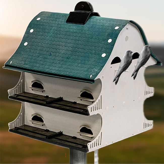 American Barn Martin House and Pole Package by Prime Retreat