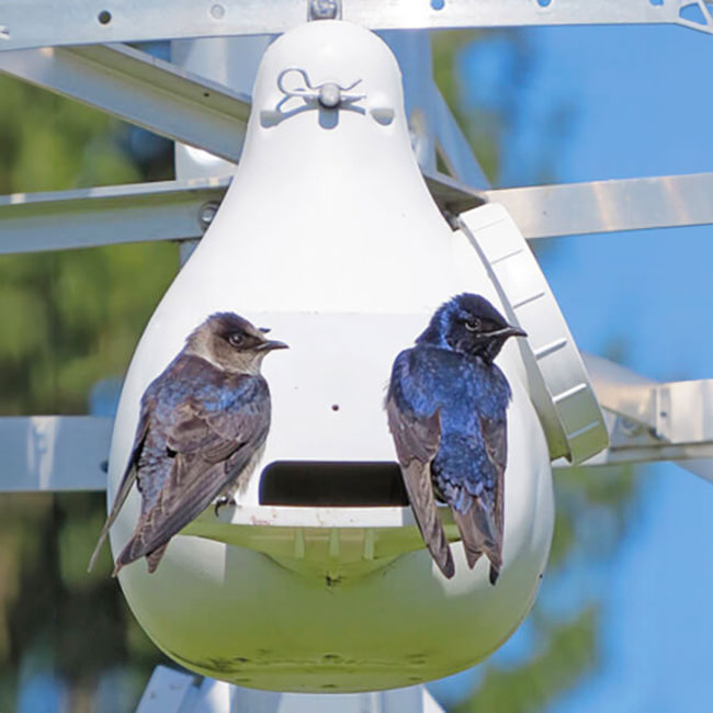 Troyer's Conley II Vertical Gourd with Wing Entrapment Guard