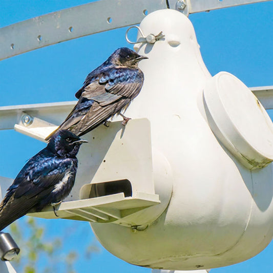 Troyer's Conley II Vertical Gourd with Wing Entrapment Guard