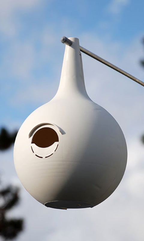 Purple Martin Gourds with Hanging Bracket and Pole Kit