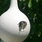 Purple Martin Gourds with Hanging Bracket and Pole Kit