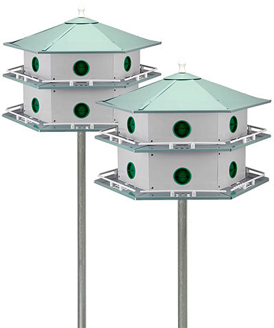 Heath Double Double Martin Houses and Poles Package